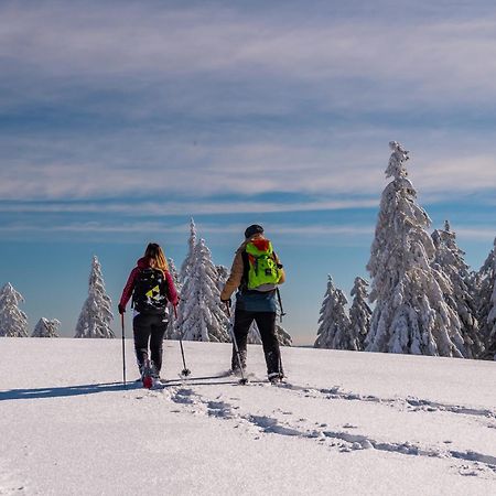 Schwarzwaldhorst Fewo 2 - Mit 4 Schlafzimmer - Todtnau, Liftverbund Feldberg Eksteriør billede