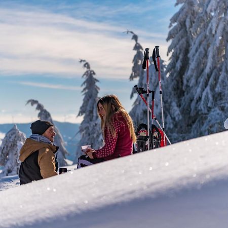 Schwarzwaldhorst Fewo 2 - Mit 4 Schlafzimmer - Todtnau, Liftverbund Feldberg Eksteriør billede