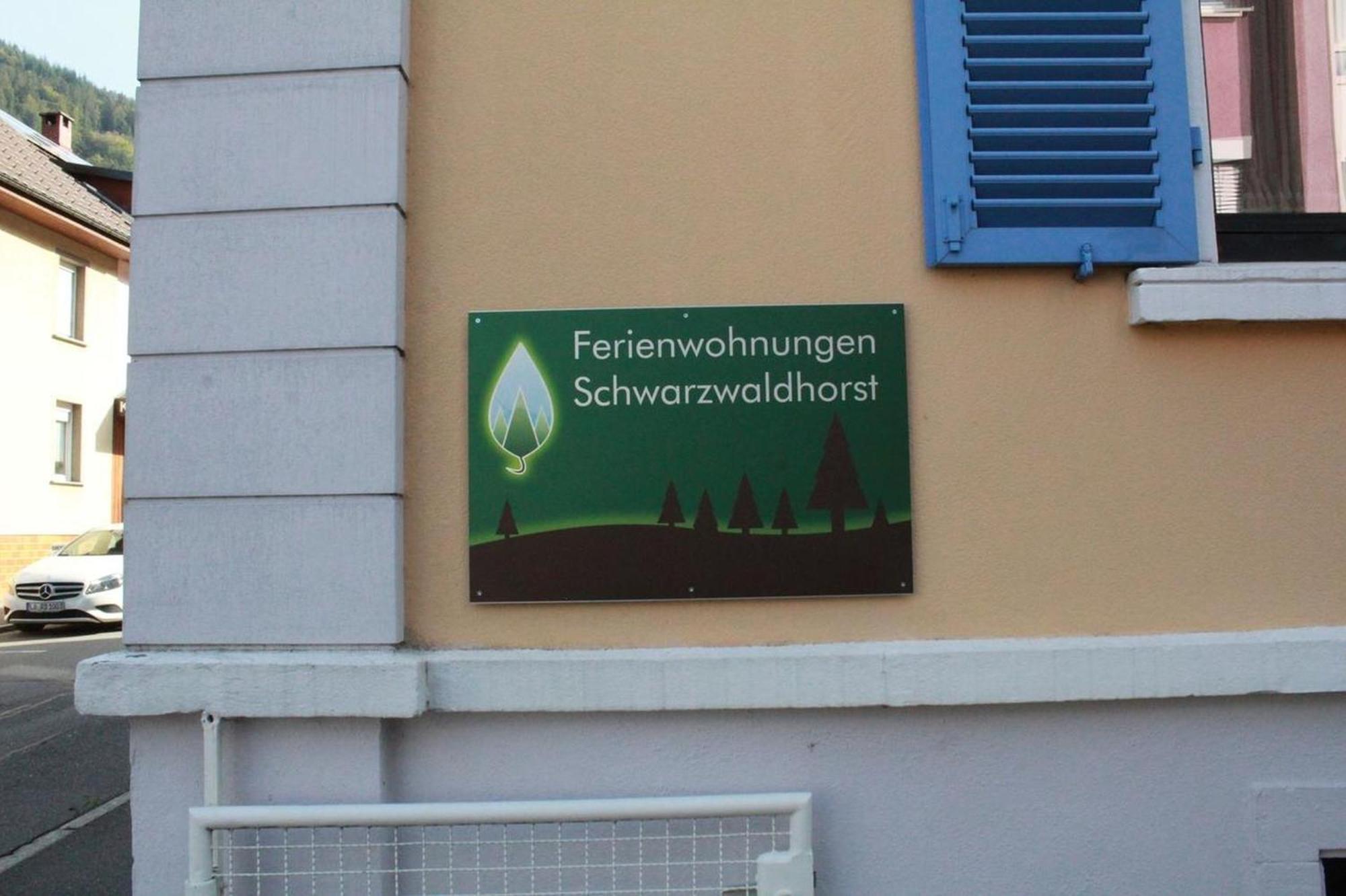 Schwarzwaldhorst Fewo 2 - Mit 4 Schlafzimmer - Todtnau, Liftverbund Feldberg Eksteriør billede