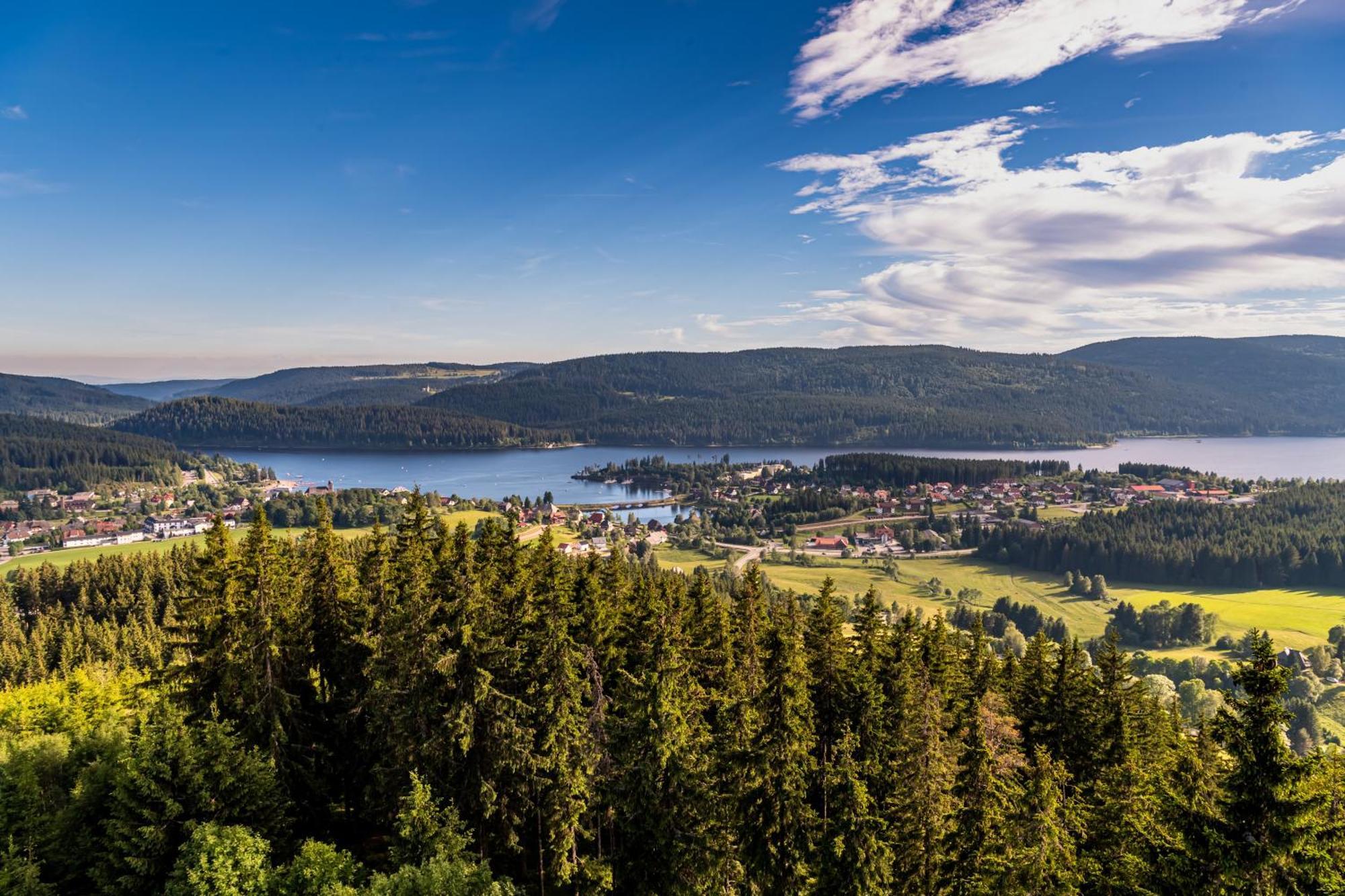 Schwarzwaldhorst Fewo 2 - Mit 4 Schlafzimmer - Todtnau, Liftverbund Feldberg Eksteriør billede