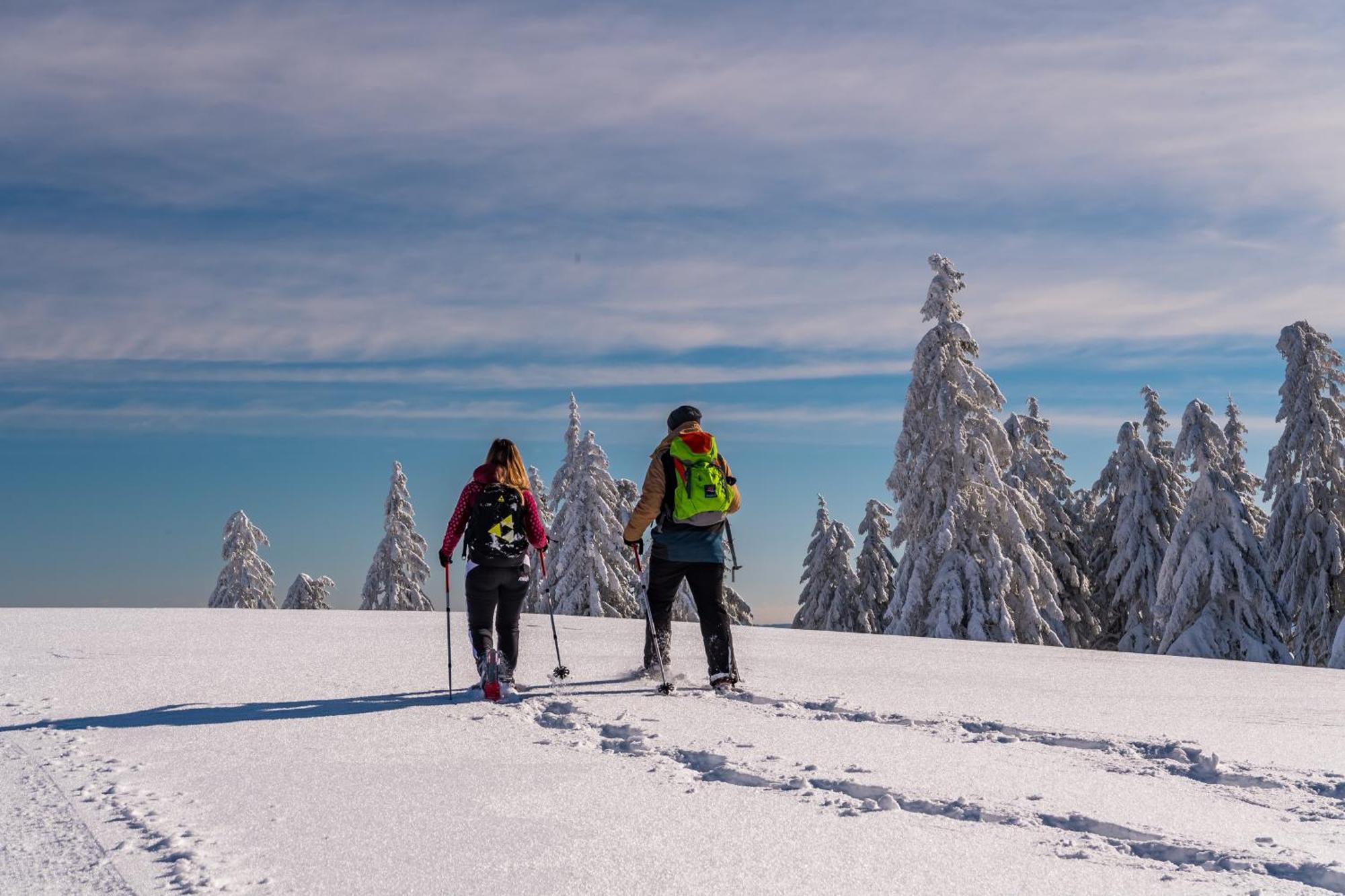 Schwarzwaldhorst Fewo 2 - Mit 4 Schlafzimmer - Todtnau, Liftverbund Feldberg Eksteriør billede